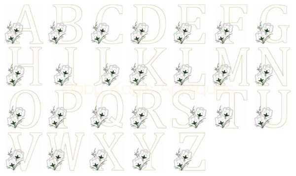 Cotton Bloom Alpha {Four Sizes} - Image 3