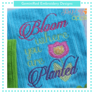 Bloom where you are Planted  {Three Sizes}